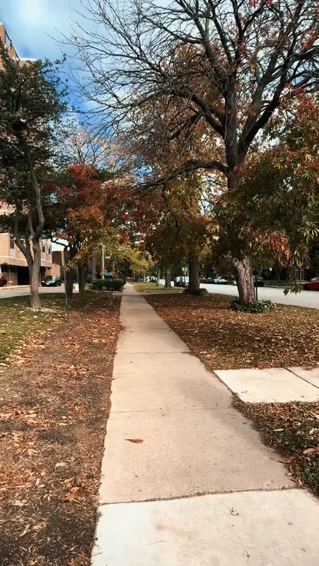 \ud83c\udf42 The leaves are falling\u2026 and so is the temperature. Something spooky's in the air \ud83d\udc40 