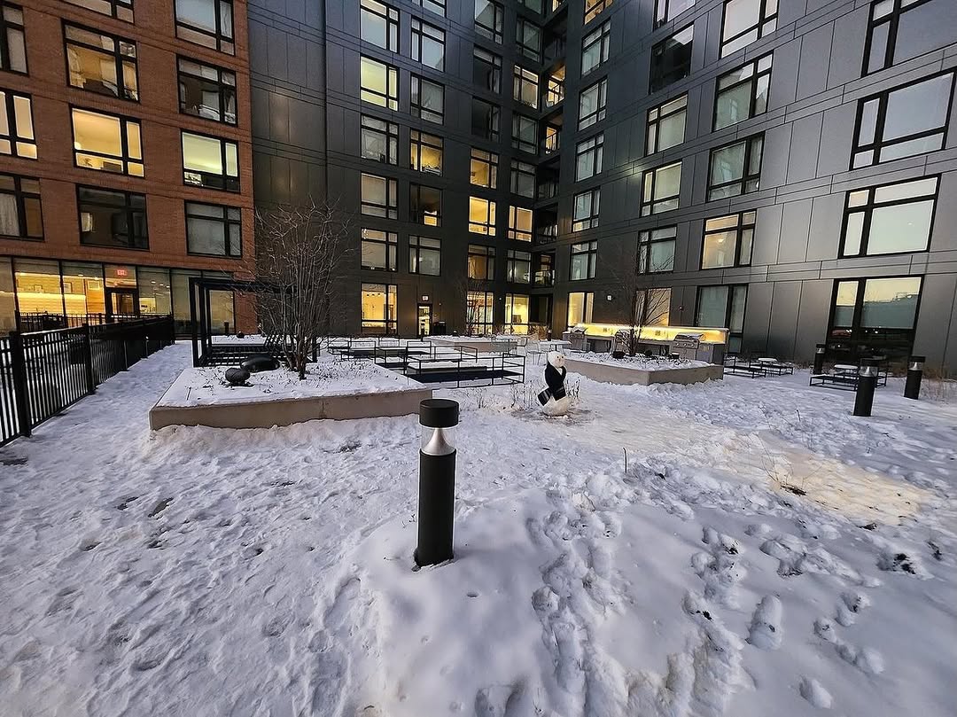 Our courtyard got its winter makeover \ud83d\udc85\u2744\ufe0f 