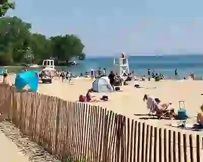 Sun bathing and swimming at Clark Street Beack